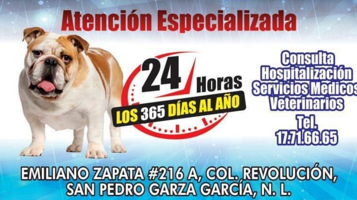 Veterinaria Fuentes — foto 3