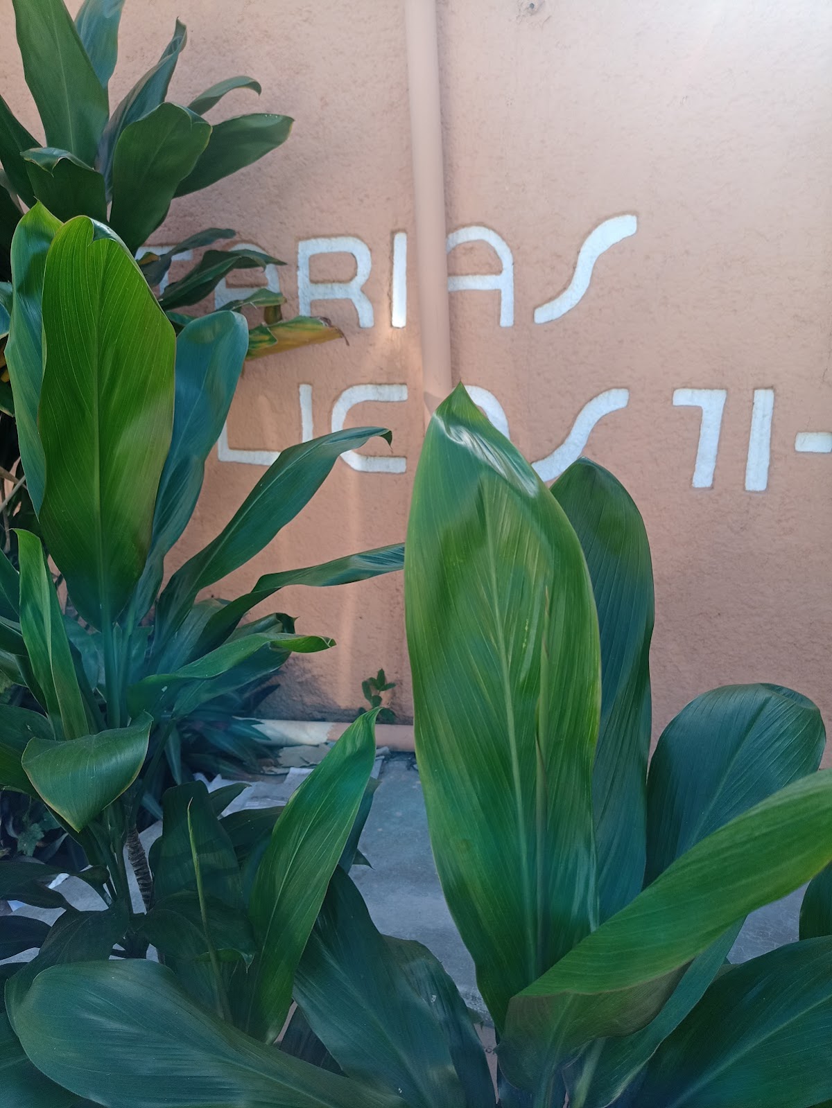 Notarías 71 y 73 — foto 4