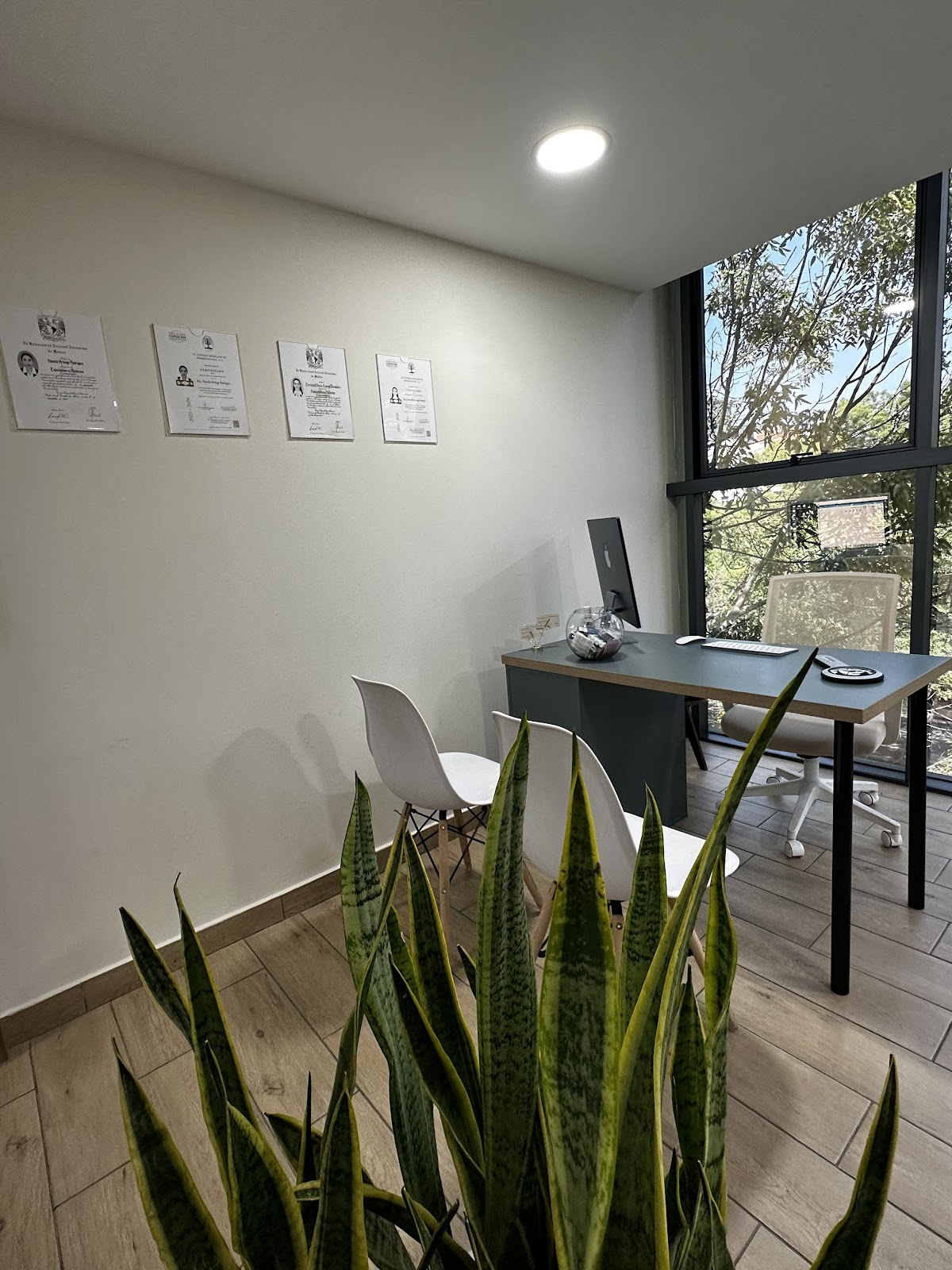Luar Derma — foto 4