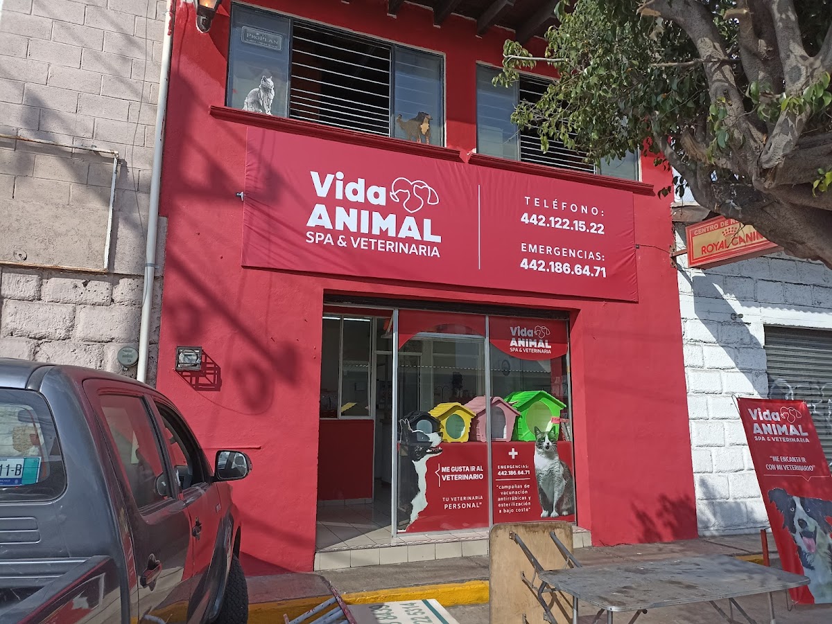 Vida Animal Veterinaria Juriquilla y Sombrerete. — foto 2