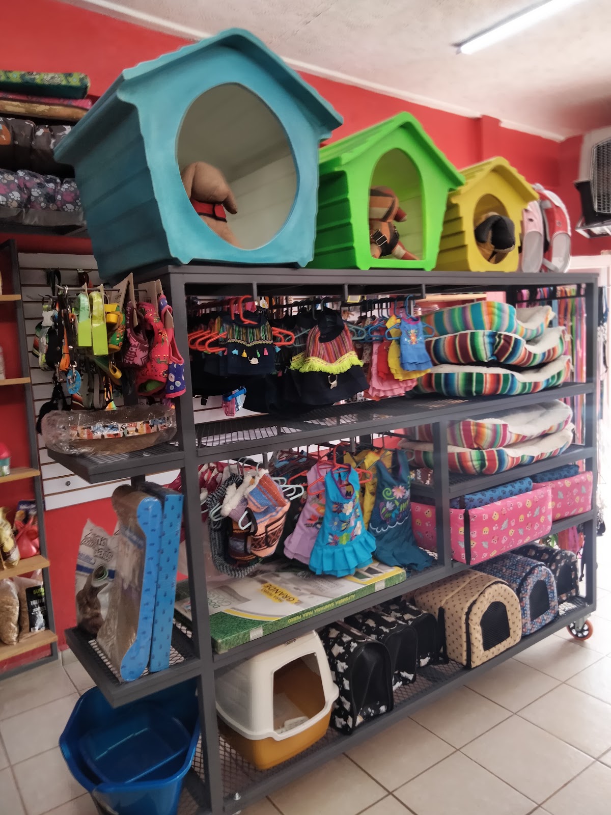 Vida Animal Veterinaria Juriquilla y Sombrerete. — foto 4