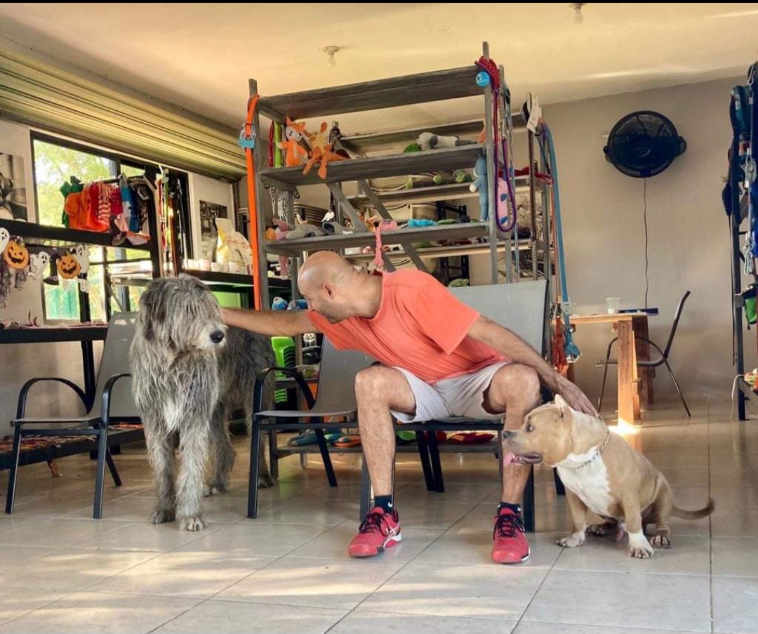Centro Integral Veterinario Ángelus Suc. Mérida Norte — foto 4