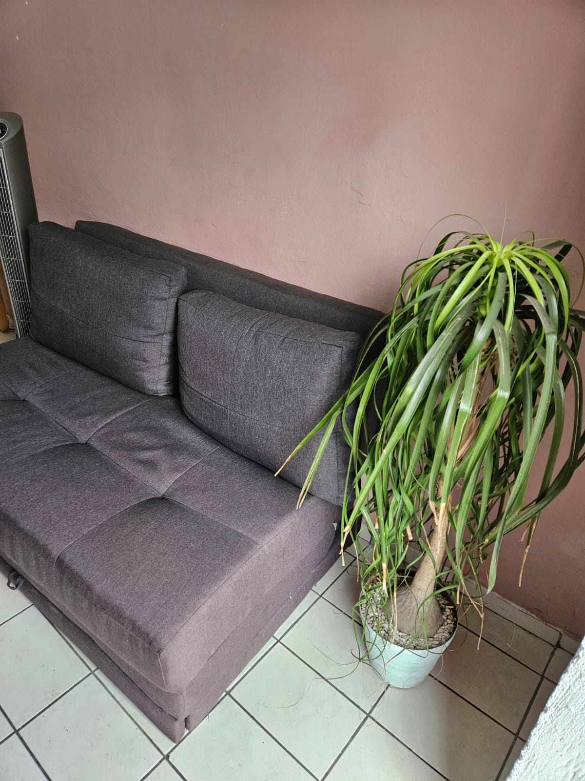 DenTavares — foto 3