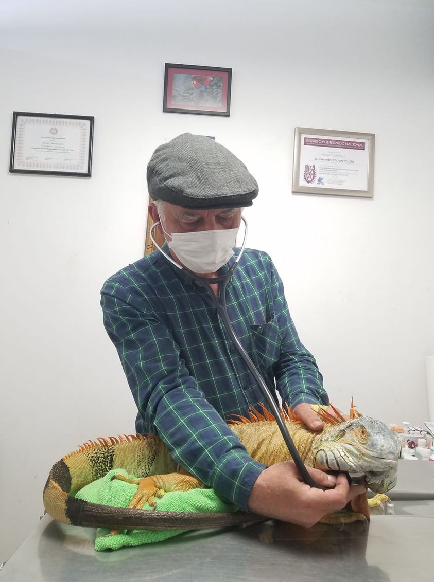 Clínica Veterinaria Dr. Chávez — foto 2