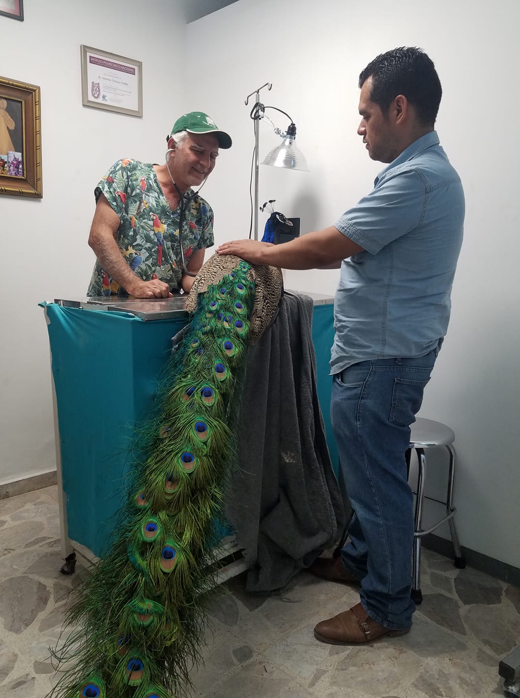 Clínica Veterinaria Dr. Chávez — foto 4