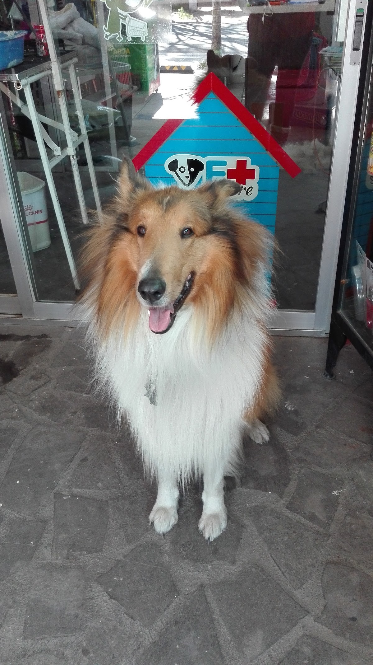 Veterinaria VetCare — foto 2