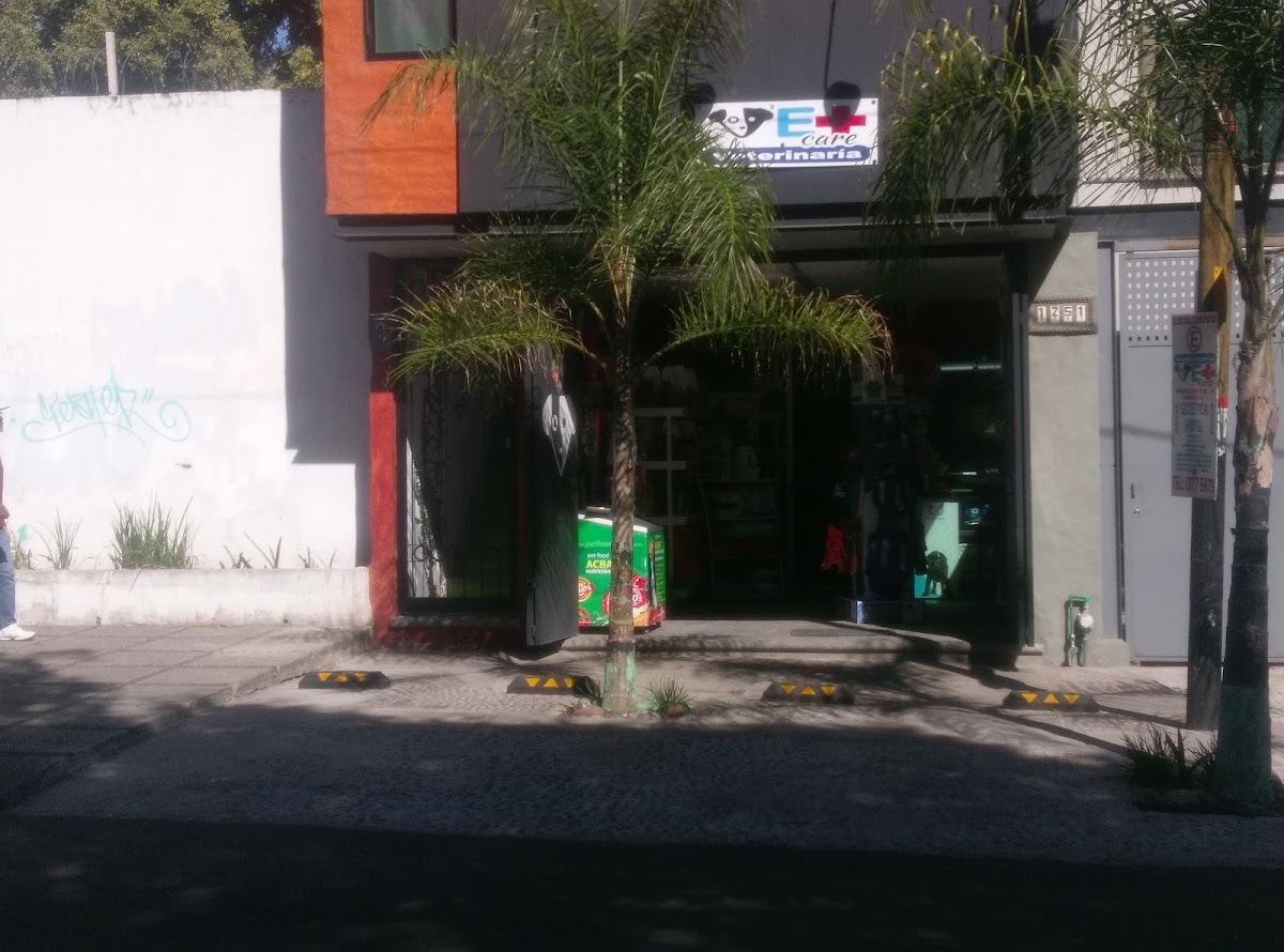 Veterinaria VetCare — foto 4