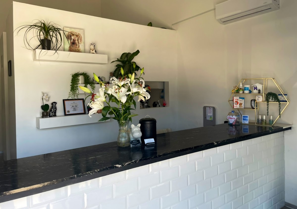 NEW VET — foto 4