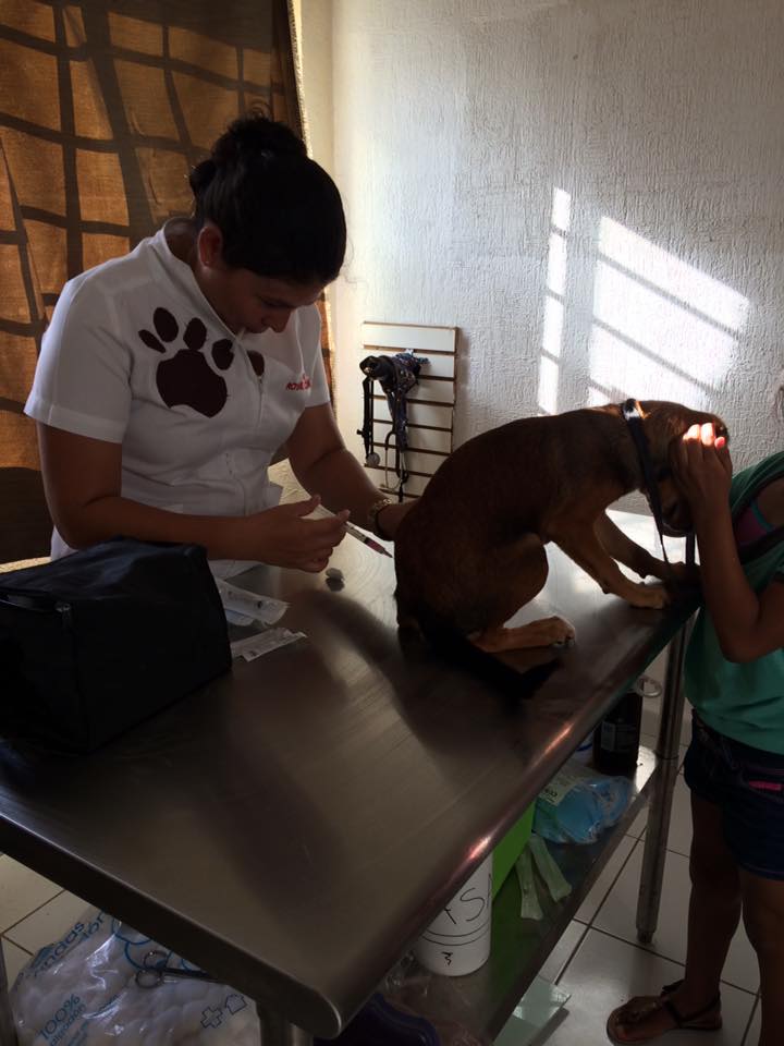 Animal Center Cancún — foto 3
