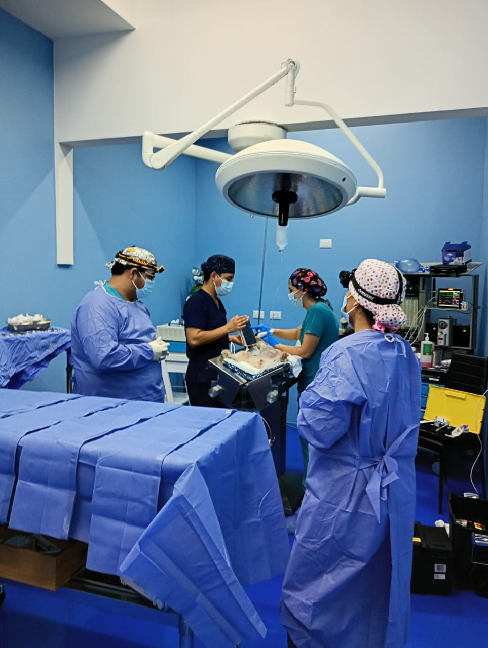 Hospital Veterinario Del Barrio — foto 3