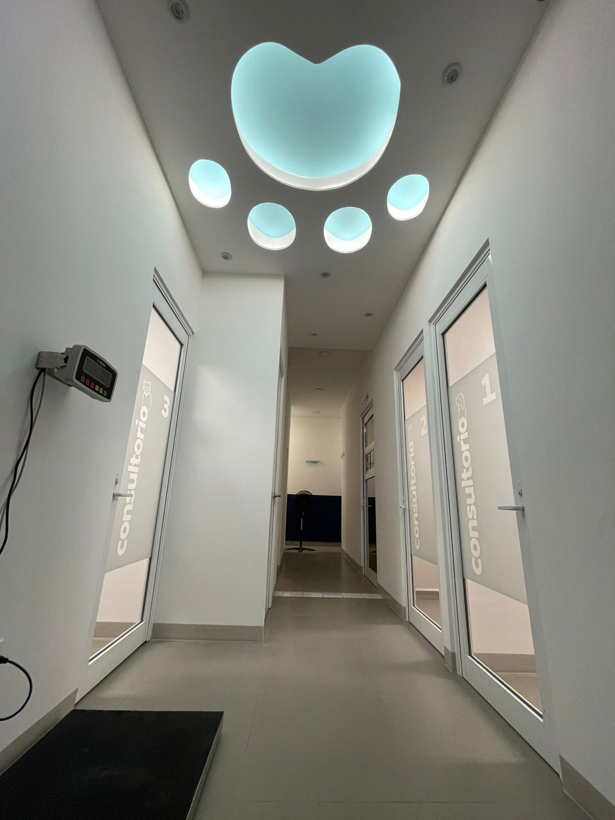 Shepherd Hospital Veterinario — foto 2