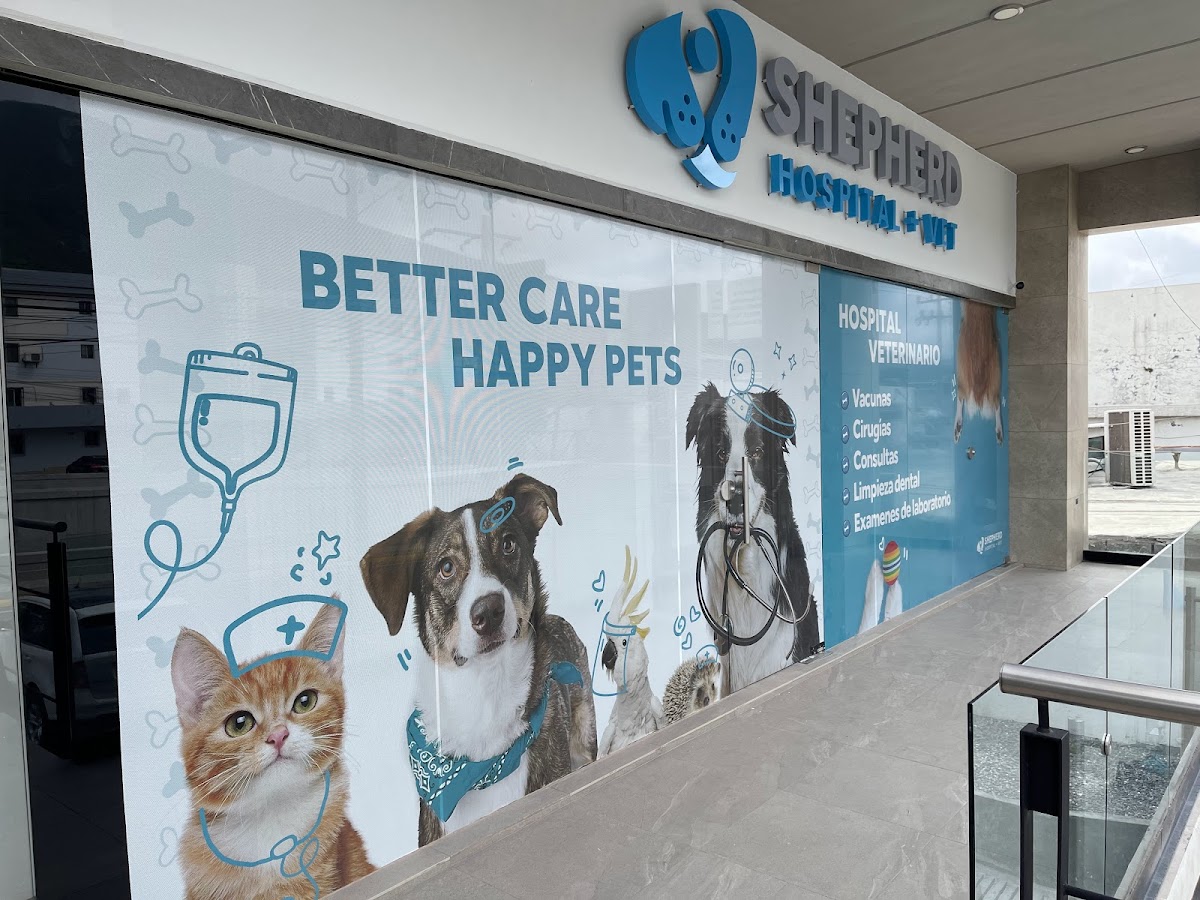 Shepherd Hospital Veterinario — foto 4