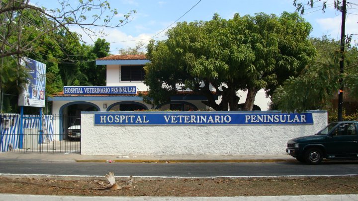 Hospital Veterinario Peninsular — foto 2