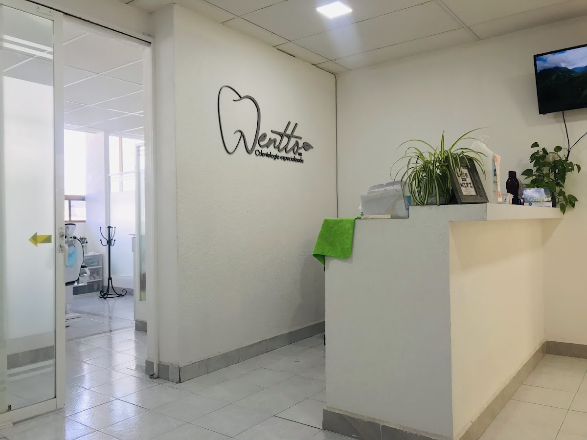 Dentto mx — foto 3