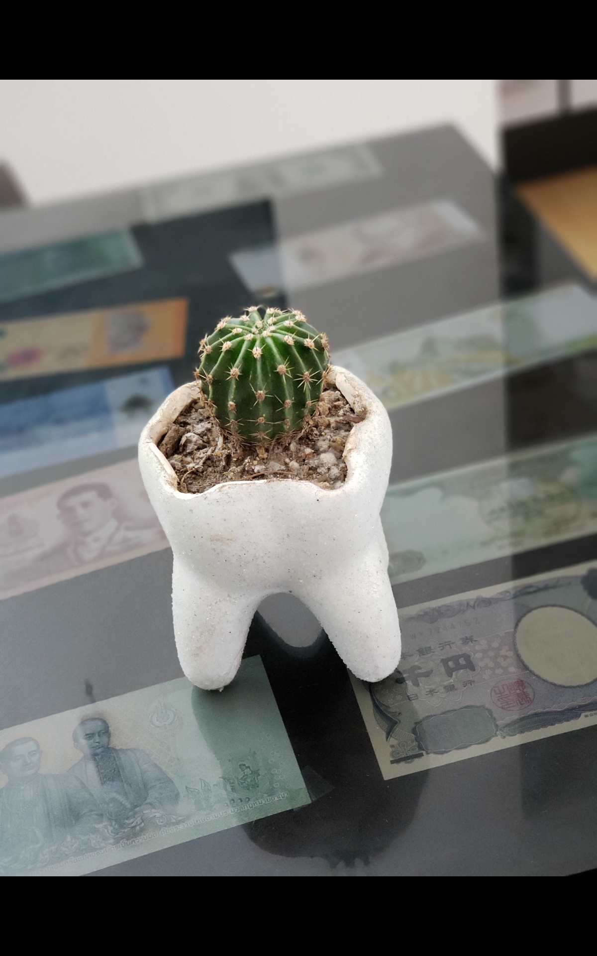 DENTAL HEALTH PUEBLA — foto 3