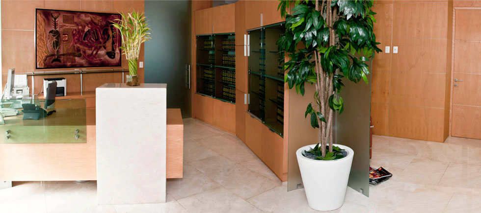 Aldave Abogados