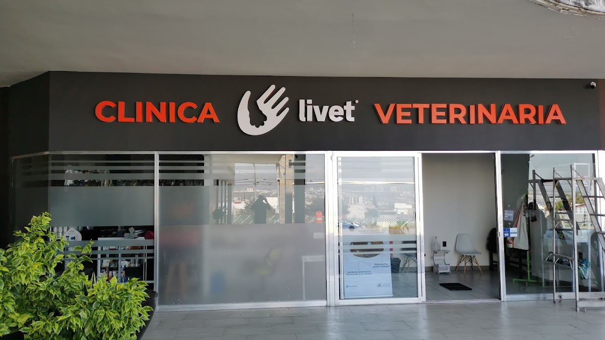 Hospital Veterinario Livet — foto 2