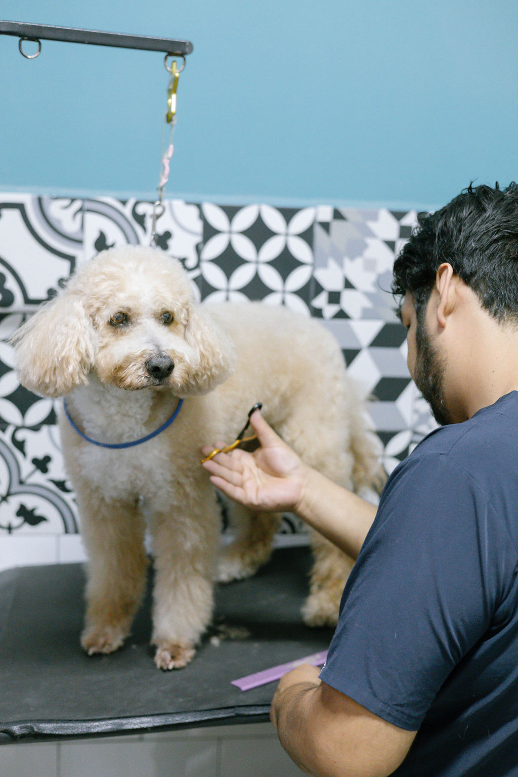 Hospital Veterinario Livet — foto 4