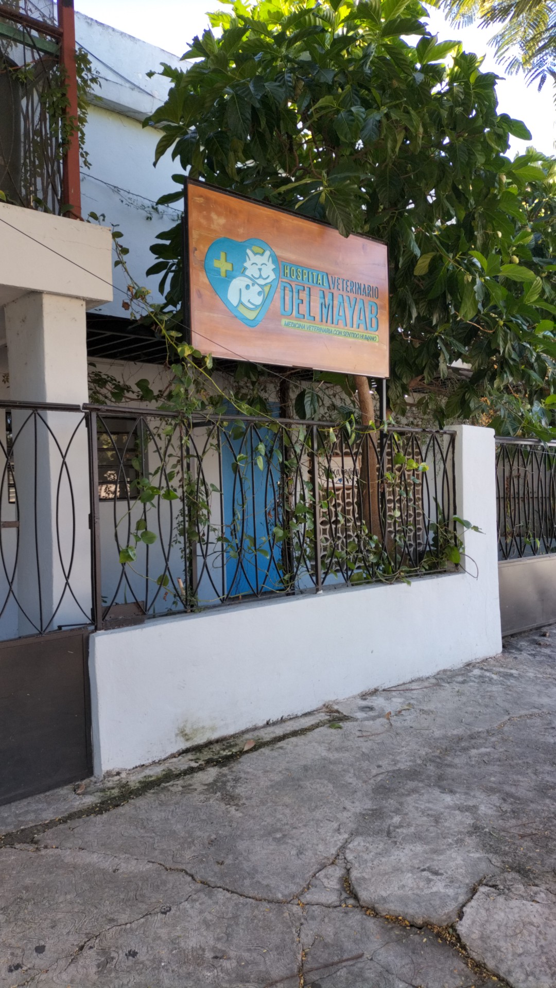 Hospital Veterinario del Mayab — foto 2