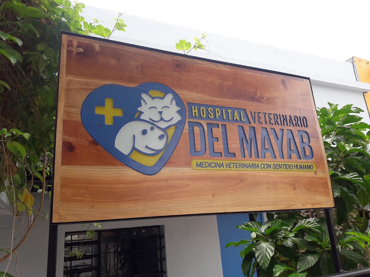 Hospital Veterinario del Mayab — foto 3