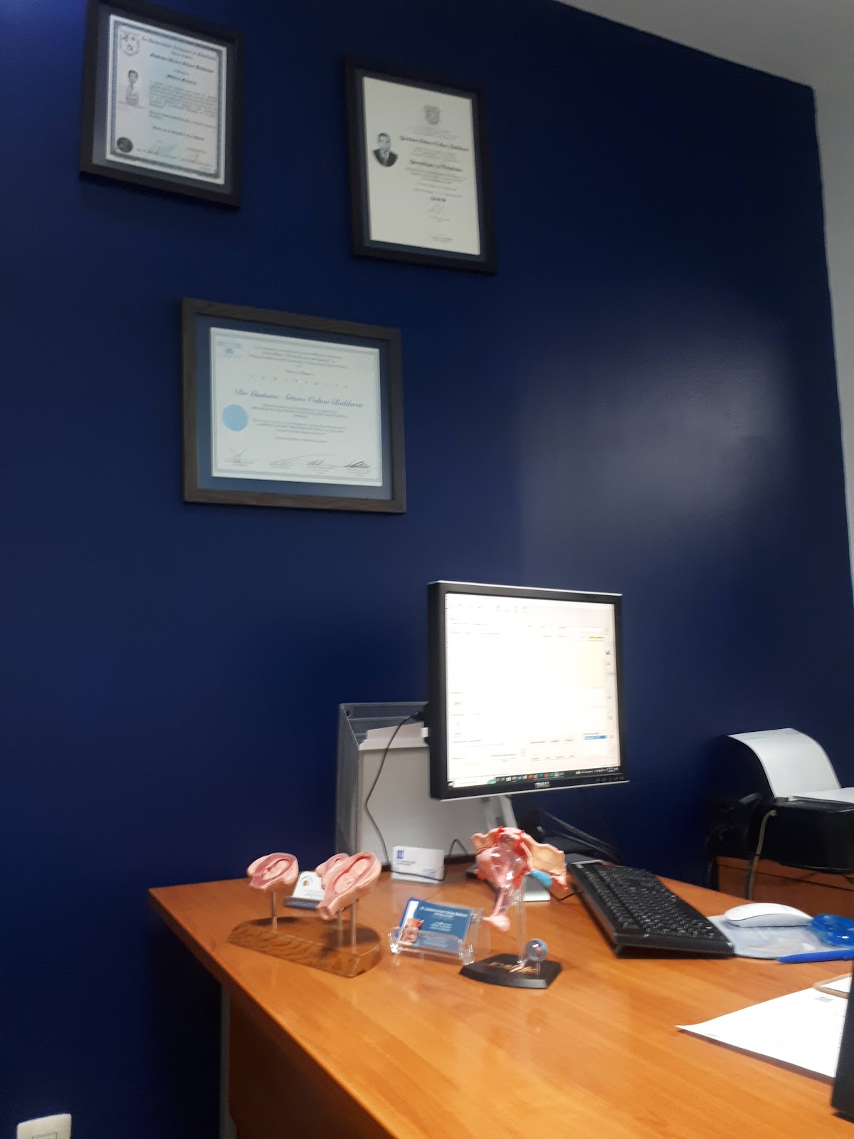 Dr. Gustavo Arturo Ochoa Balderas - Uroginecólogo — foto 3