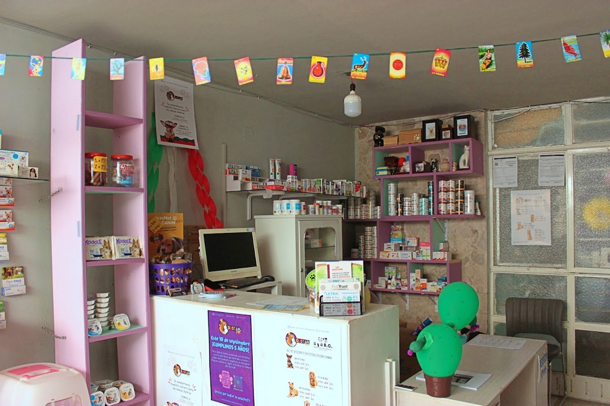 Clínica Veterinaria Duston Vet — foto 2