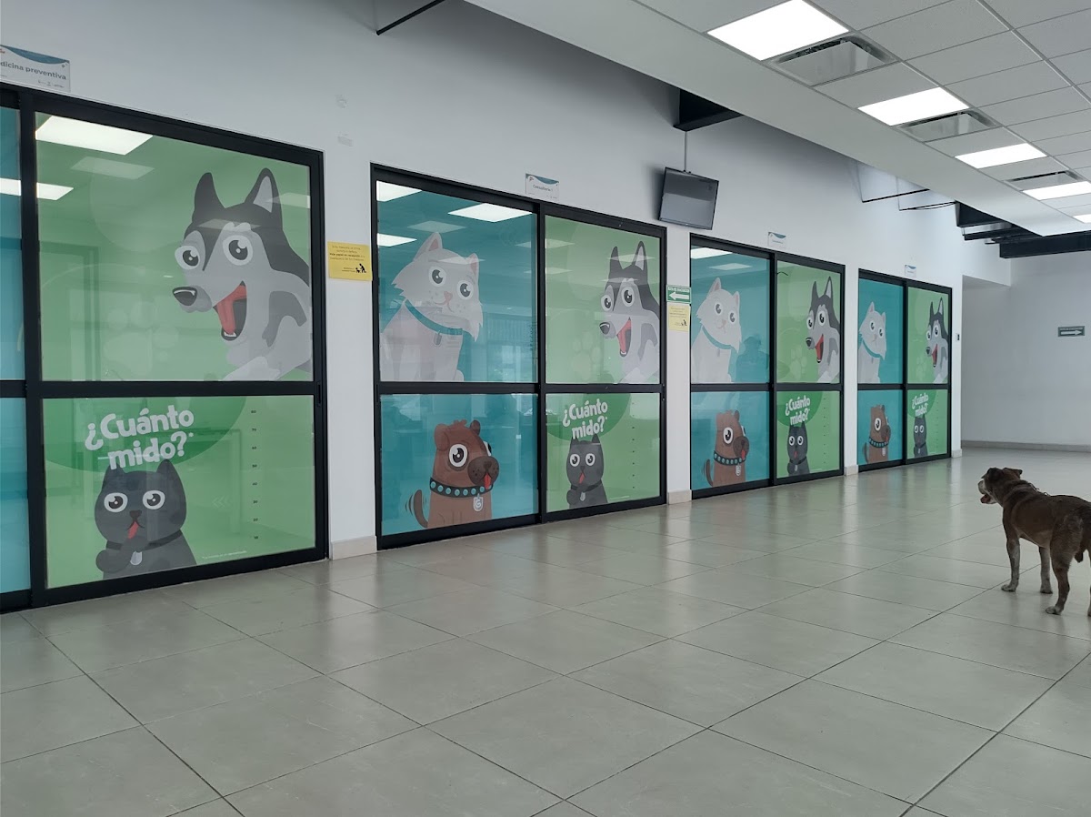 CISAZ (Centro Integral de Salud Animal Zapopan)