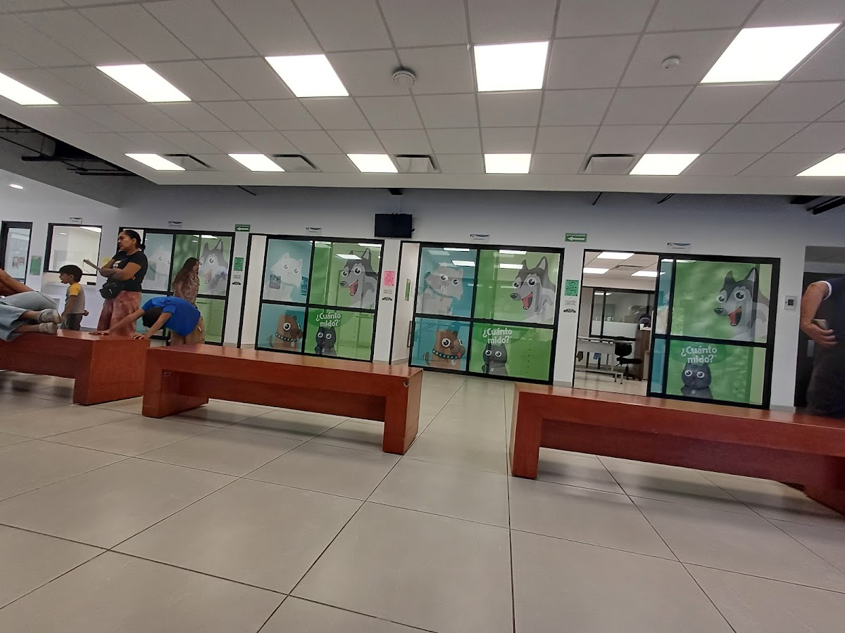 CISAZ (Centro Integral de Salud Animal Zapopan) — foto 3
