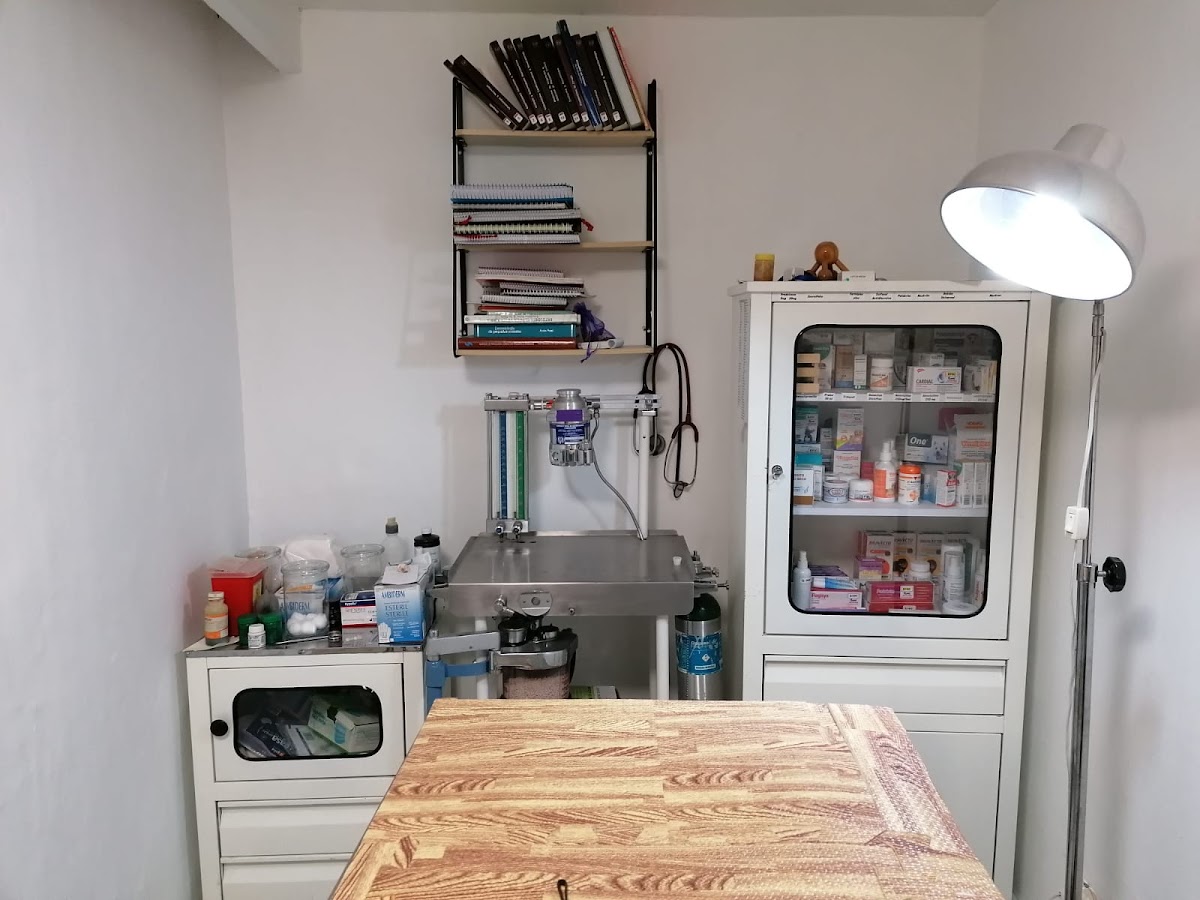 La Perrería Condesa — foto 3