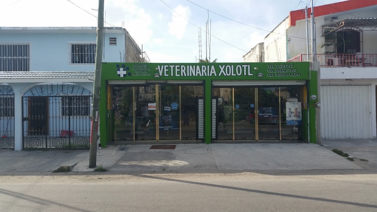 Clinica Veterinaria Xolotl — foto 2