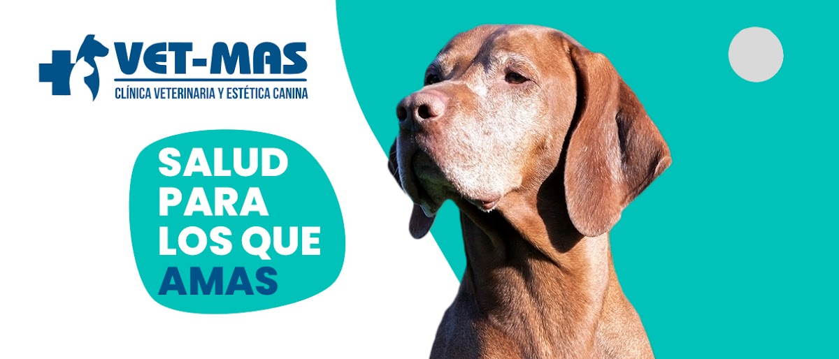 Clínica Veterinaria Vet-Mas - Cirugía Veterinaria