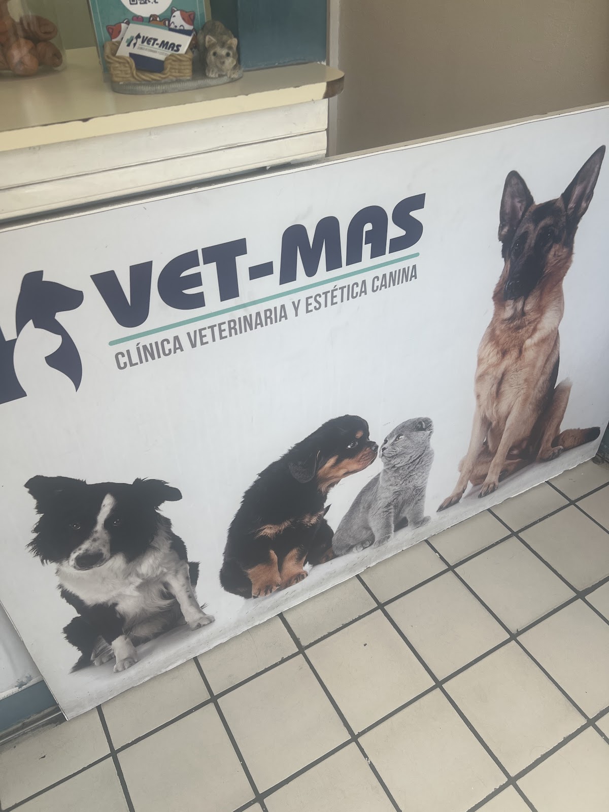 Clínica Veterinaria Vet-Mas - Cirugía Veterinaria — foto 4