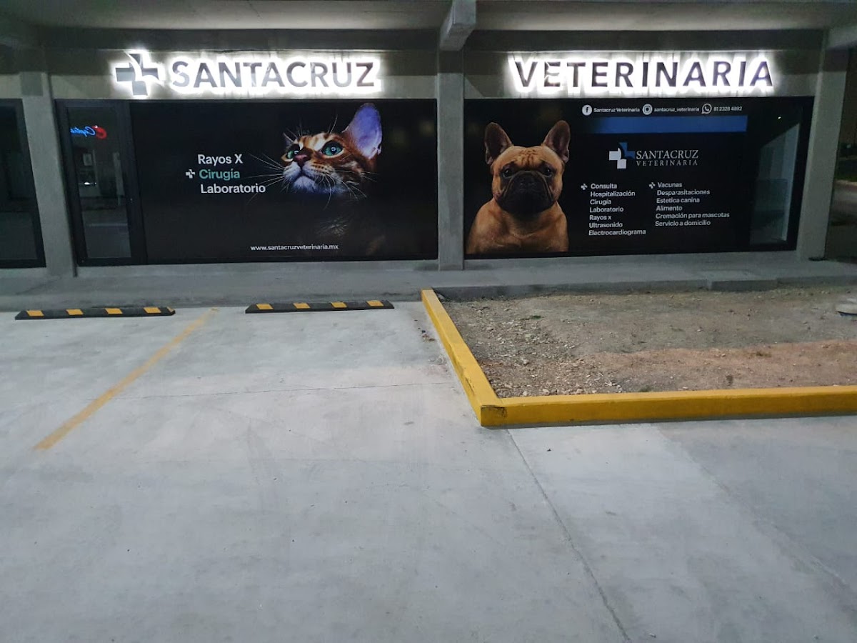 SANTACRUZ VETERINARIA CUMBRES — foto 2