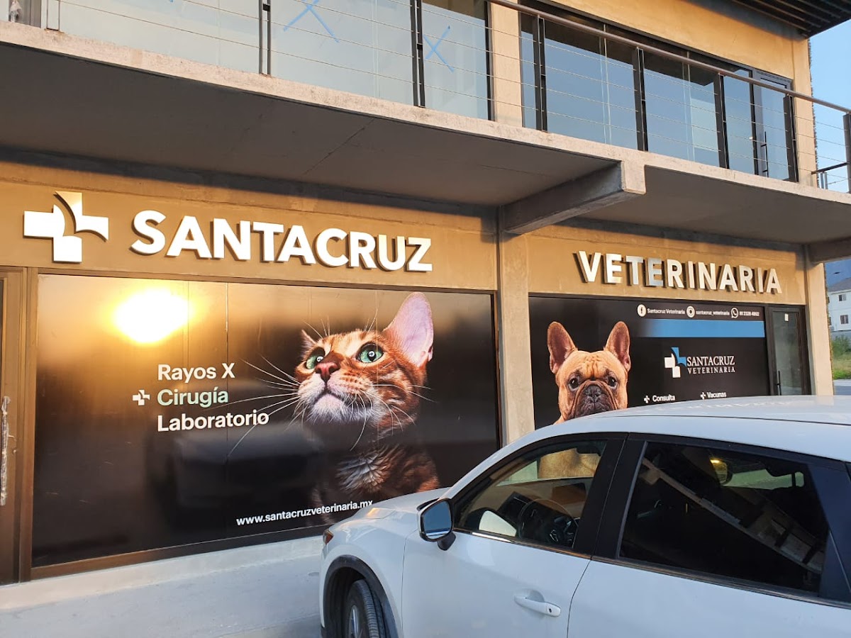 SANTACRUZ VETERINARIA CUMBRES — foto 3