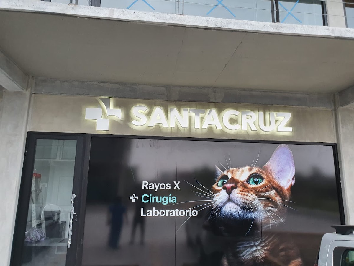 SANTACRUZ VETERINARIA CUMBRES — foto 4