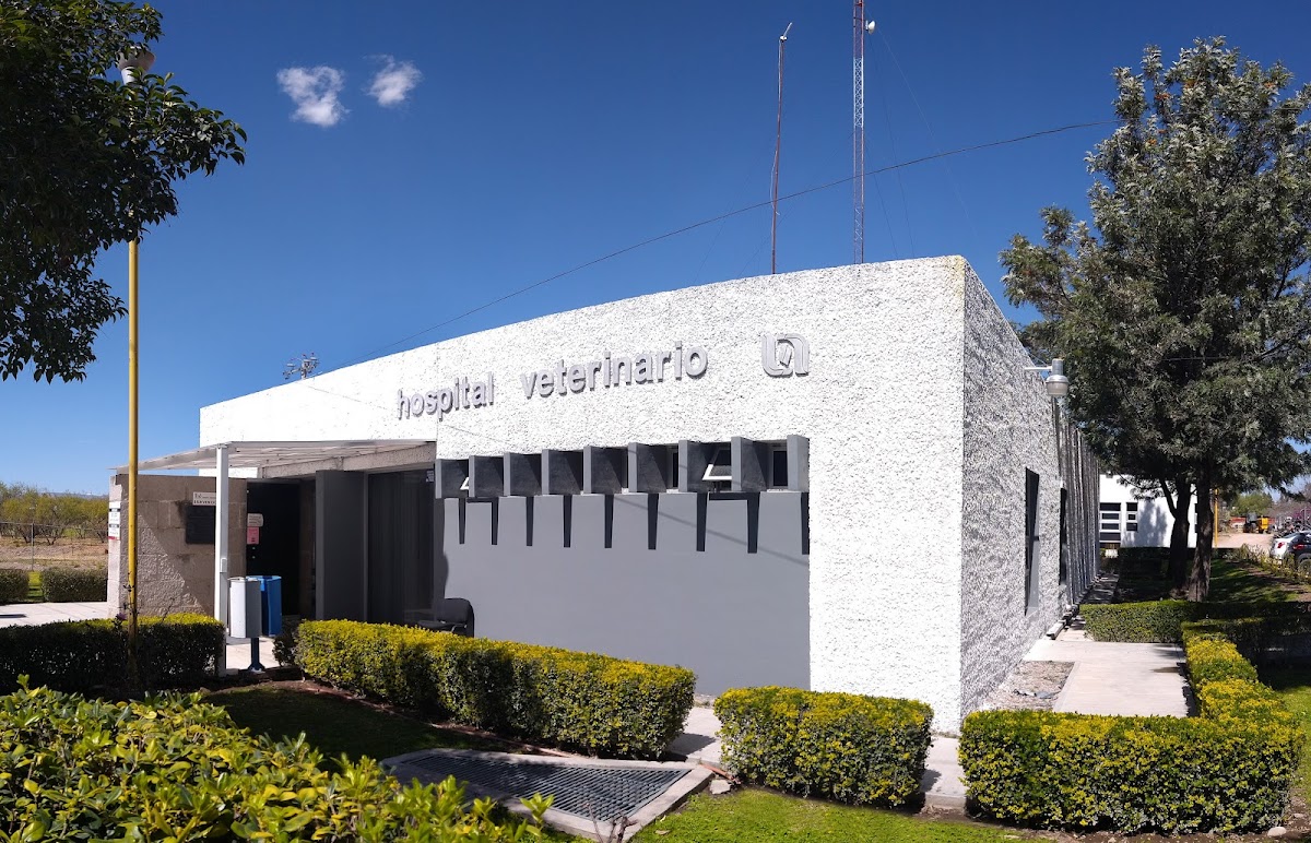 Hospital Veterinario de Pequeñas Especies UAA