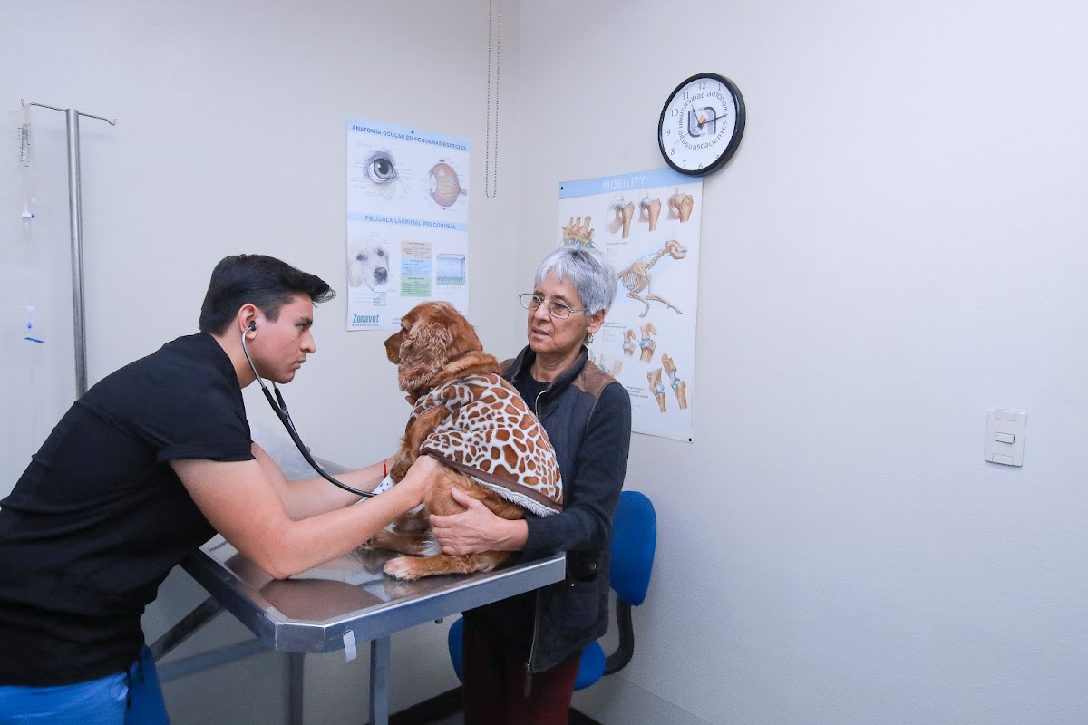 Hospital Veterinario de Pequeñas Especies UAA — foto 2