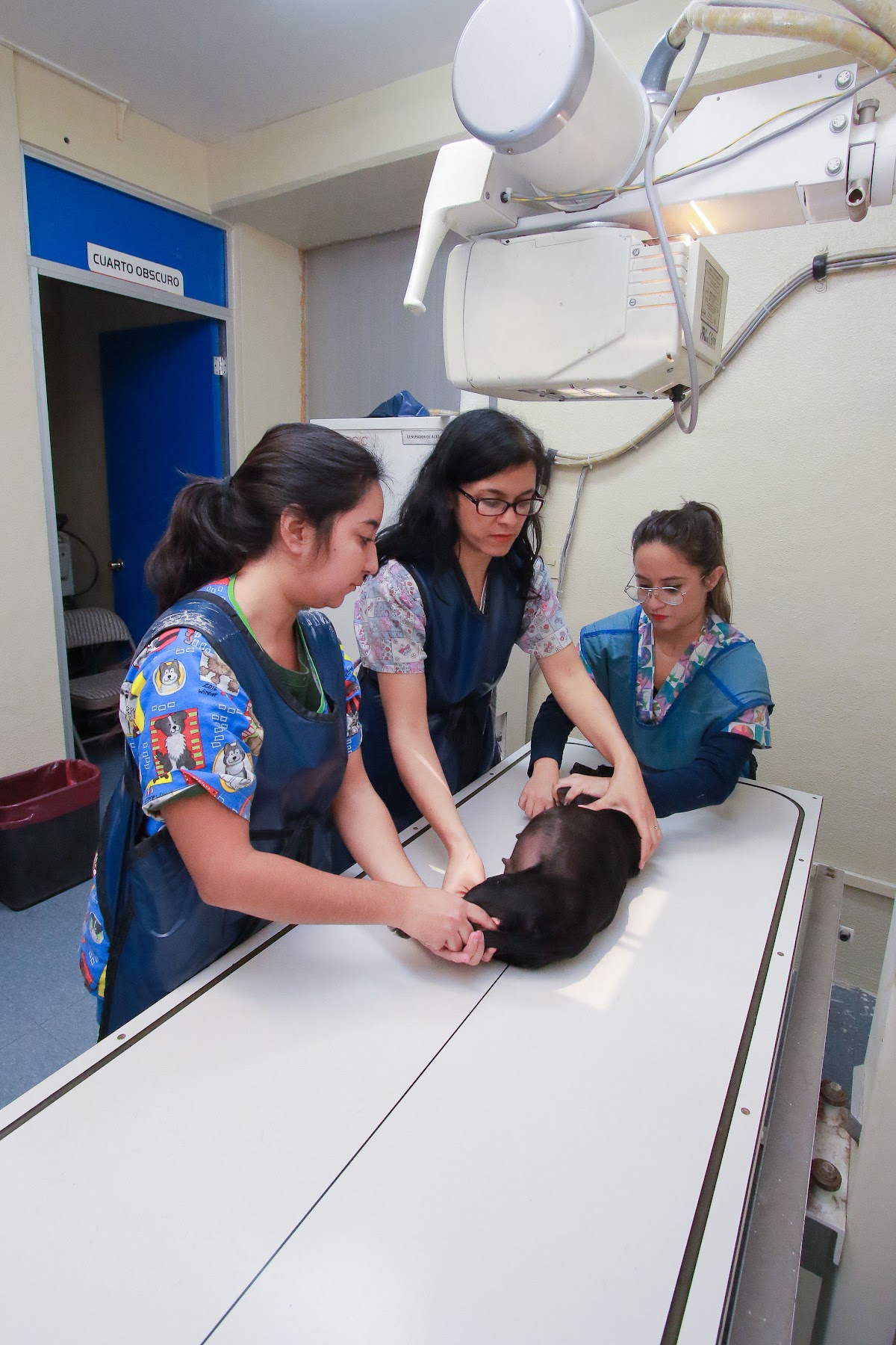 Hospital Veterinario de Pequeñas Especies UAA — foto 3