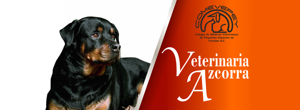 Veterinaria Azcorra