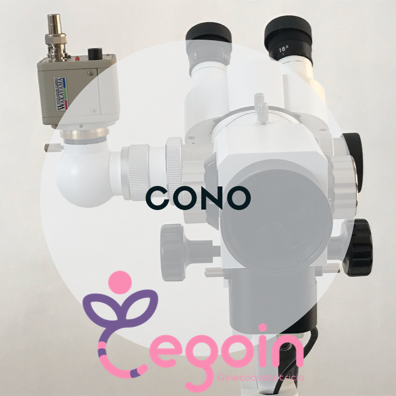 Cegoin centro ginecología y obstetricia integral Mérida — foto 3