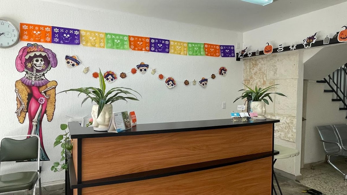 Dental Studio León — foto 2