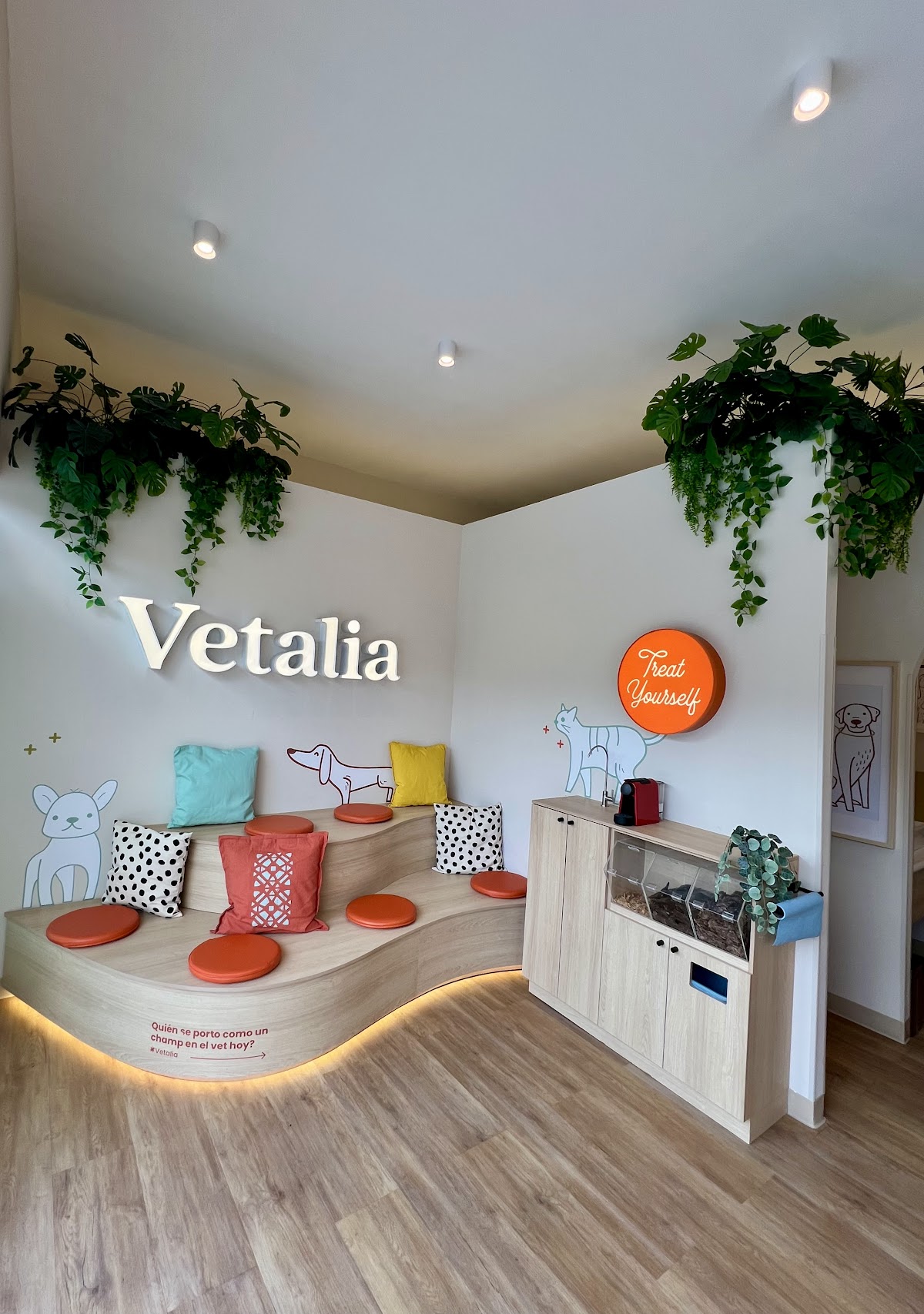 Vetalia Monterrey - Pet Center 24 hrs — foto 2