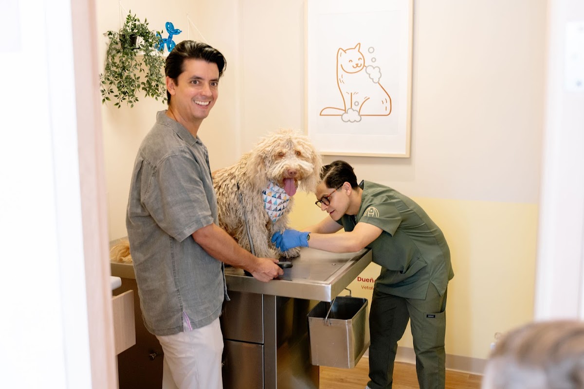 Vetalia Monterrey - Pet Center 24 hrs — foto 4