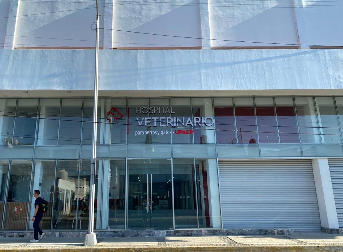 UPAEP Hospital Veterinario — foto 2
