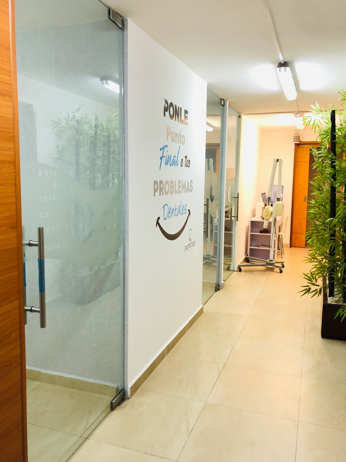 Punto Bajío Clínica Dental — foto 2
