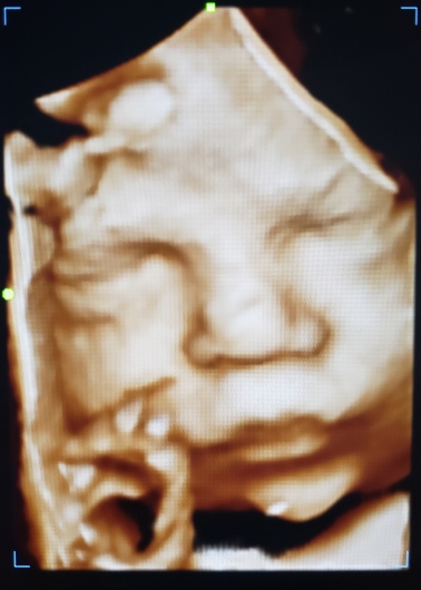 Dr. Fabricio Flores Martínez, Ginecólogo — foto 2