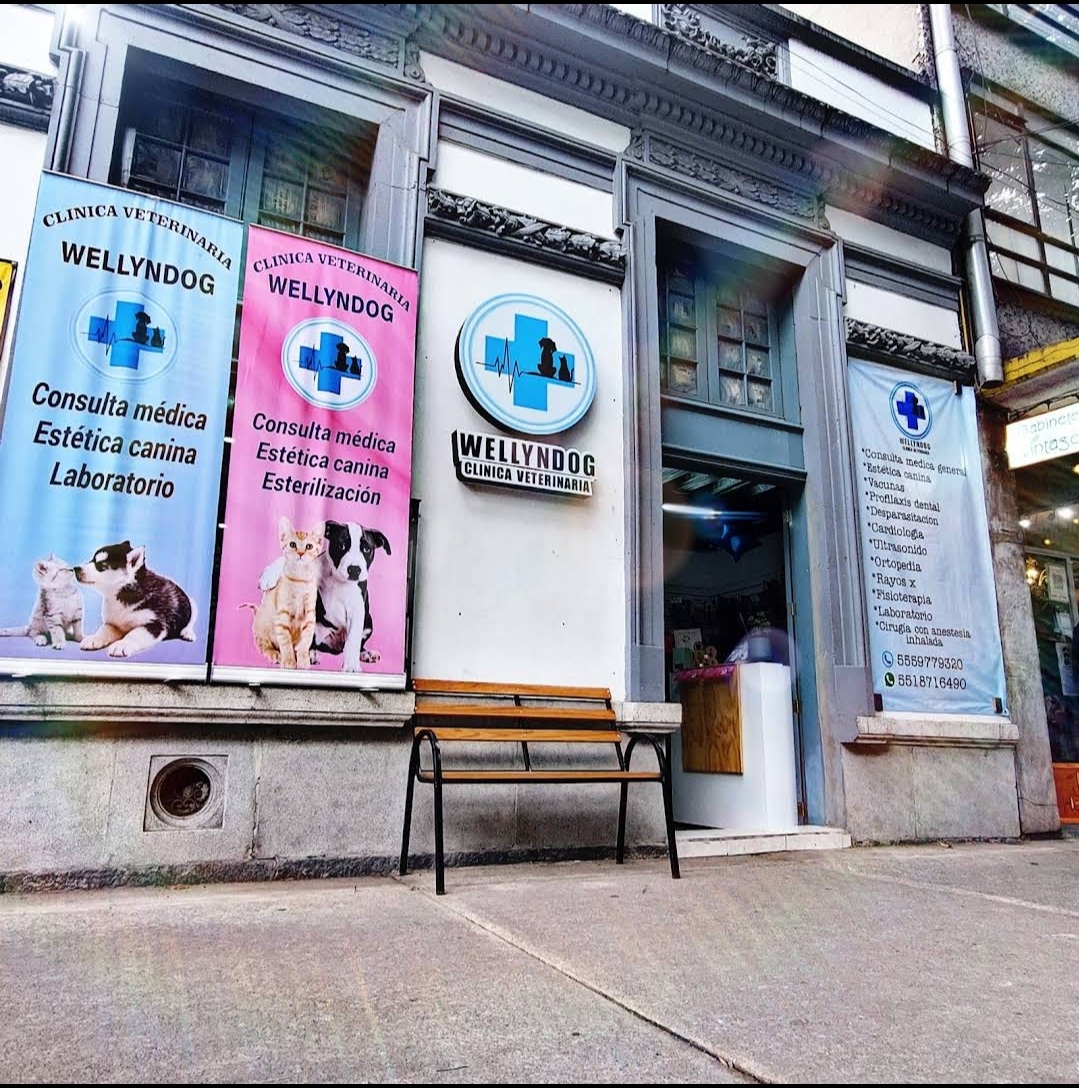 Clínica Veterinaria Wellyndog — foto 4