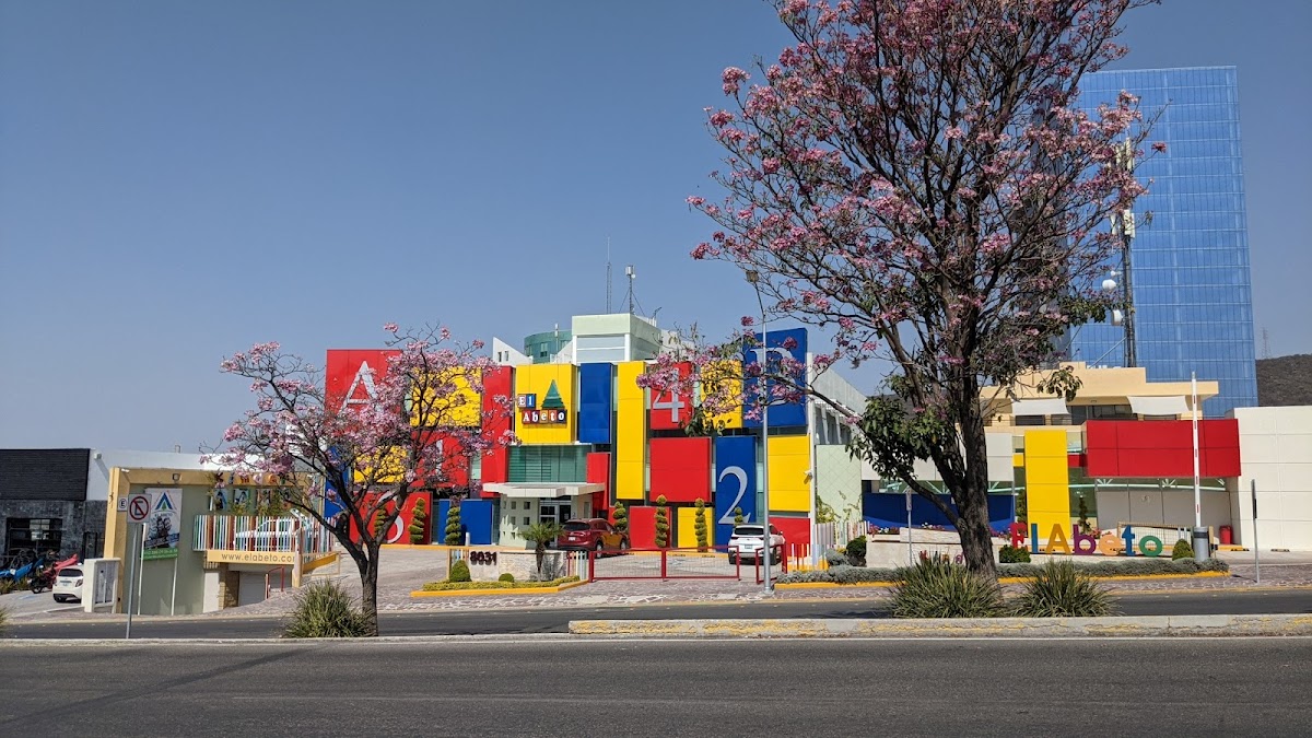 Notaria 7 Querétaro — foto 3
