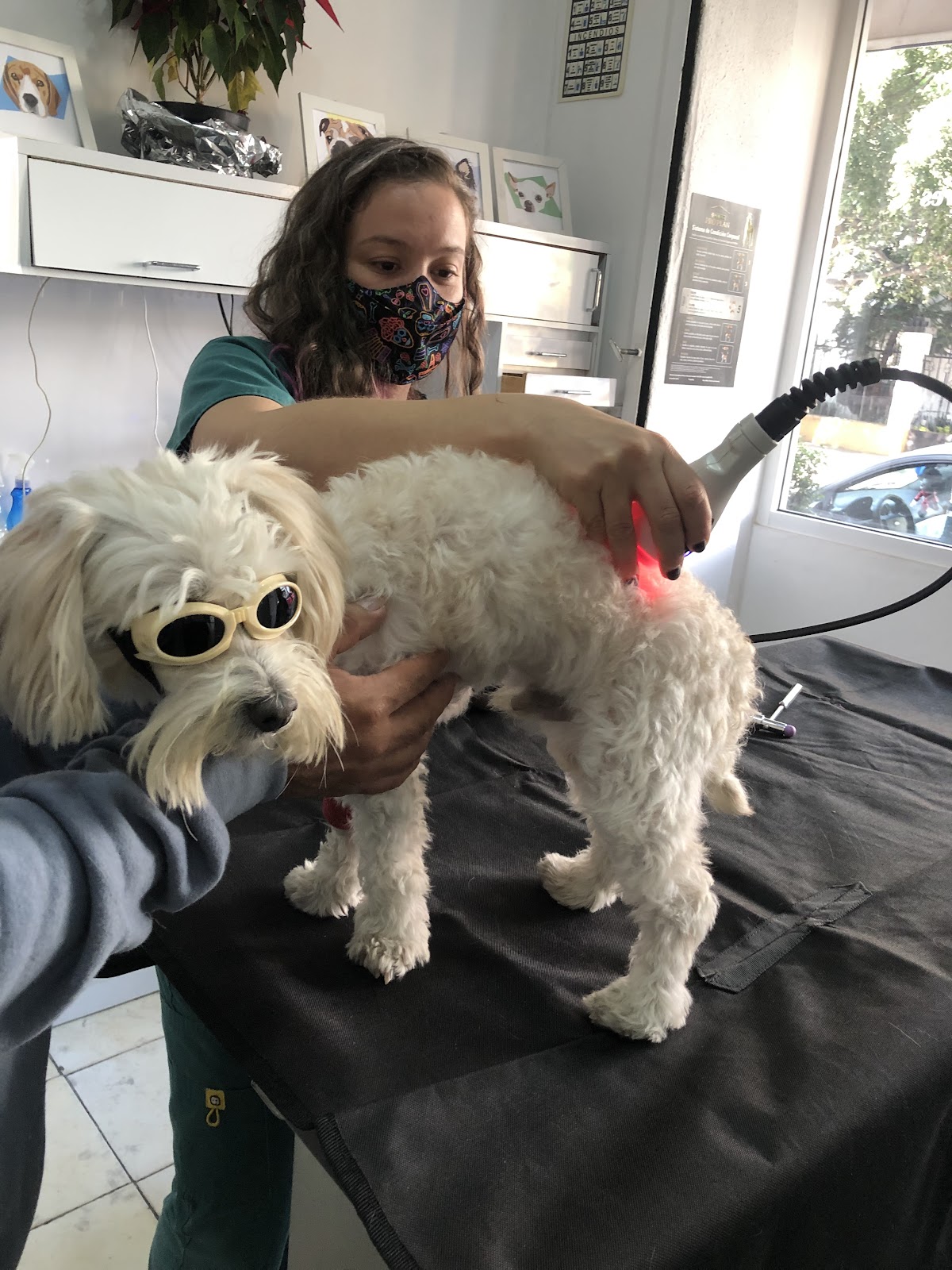 Centro Veterinario Anzures — foto 2