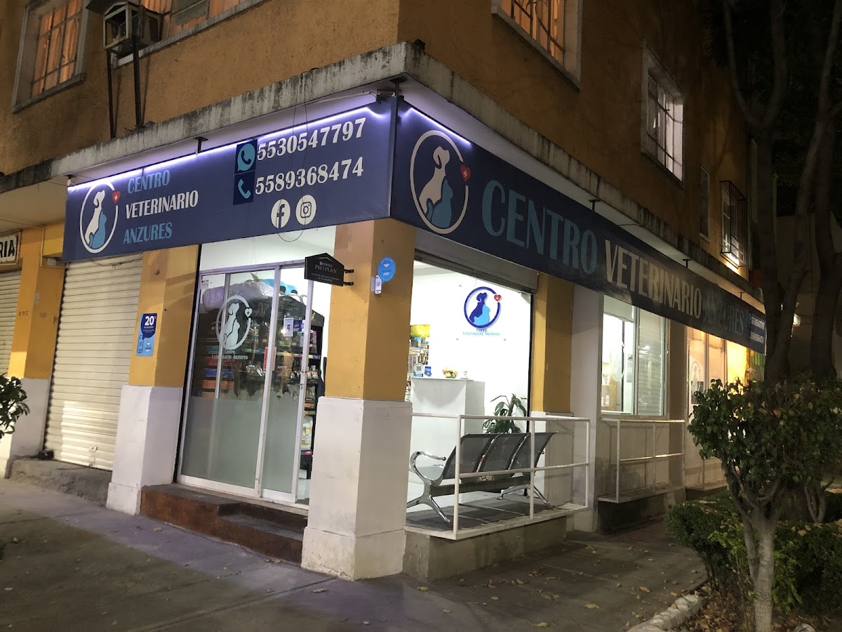 Centro Veterinario Anzures — foto 4